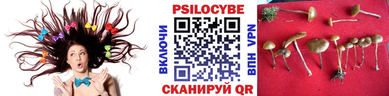 Купить закладки  Спас-Клепики  Галлюциногенные грибы мухоморы 